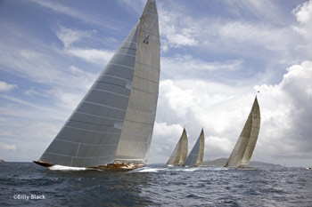 Four J-Class in St. Barts. Photo:©2012 Billy Black